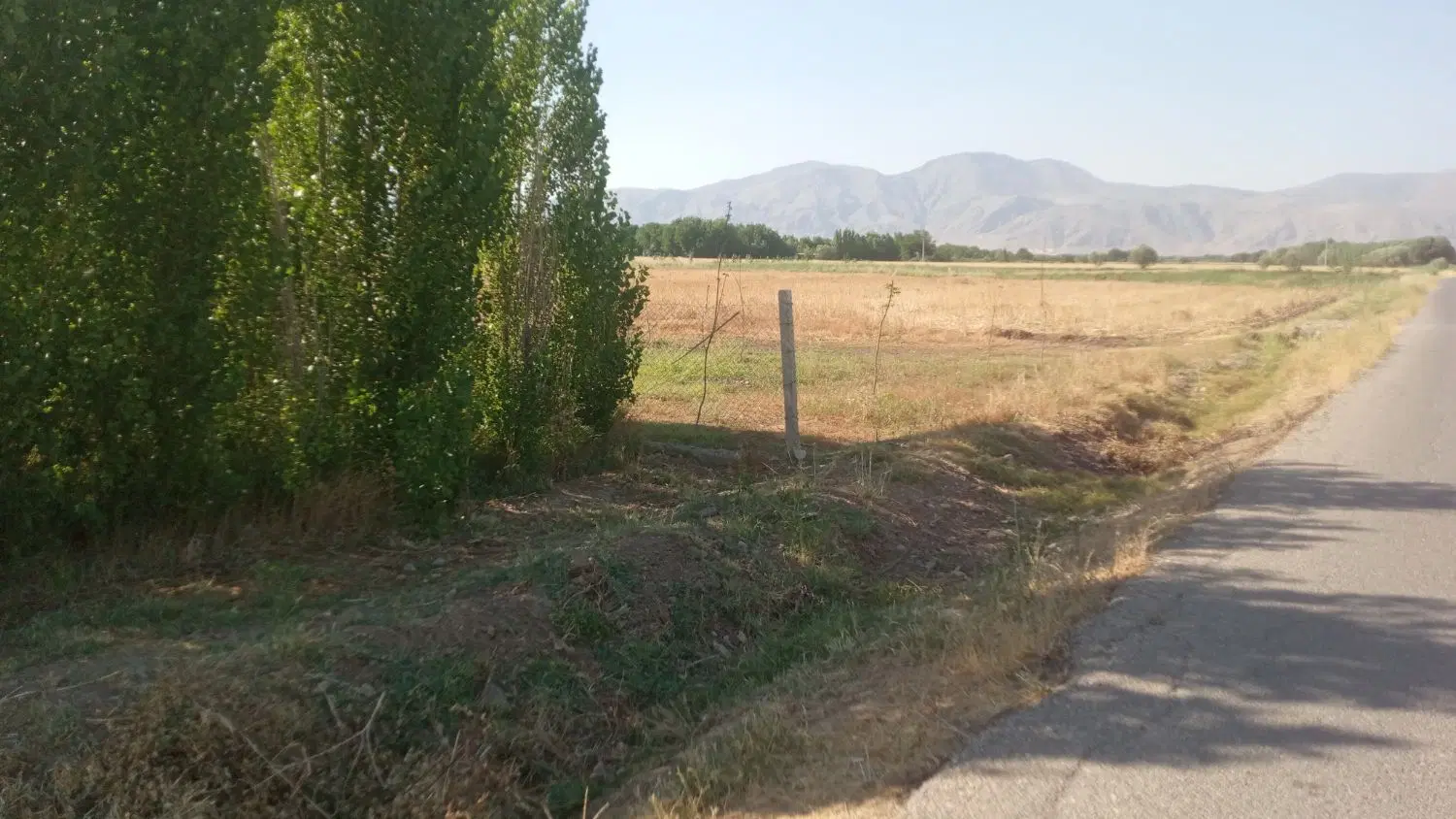 باغ ویلا
