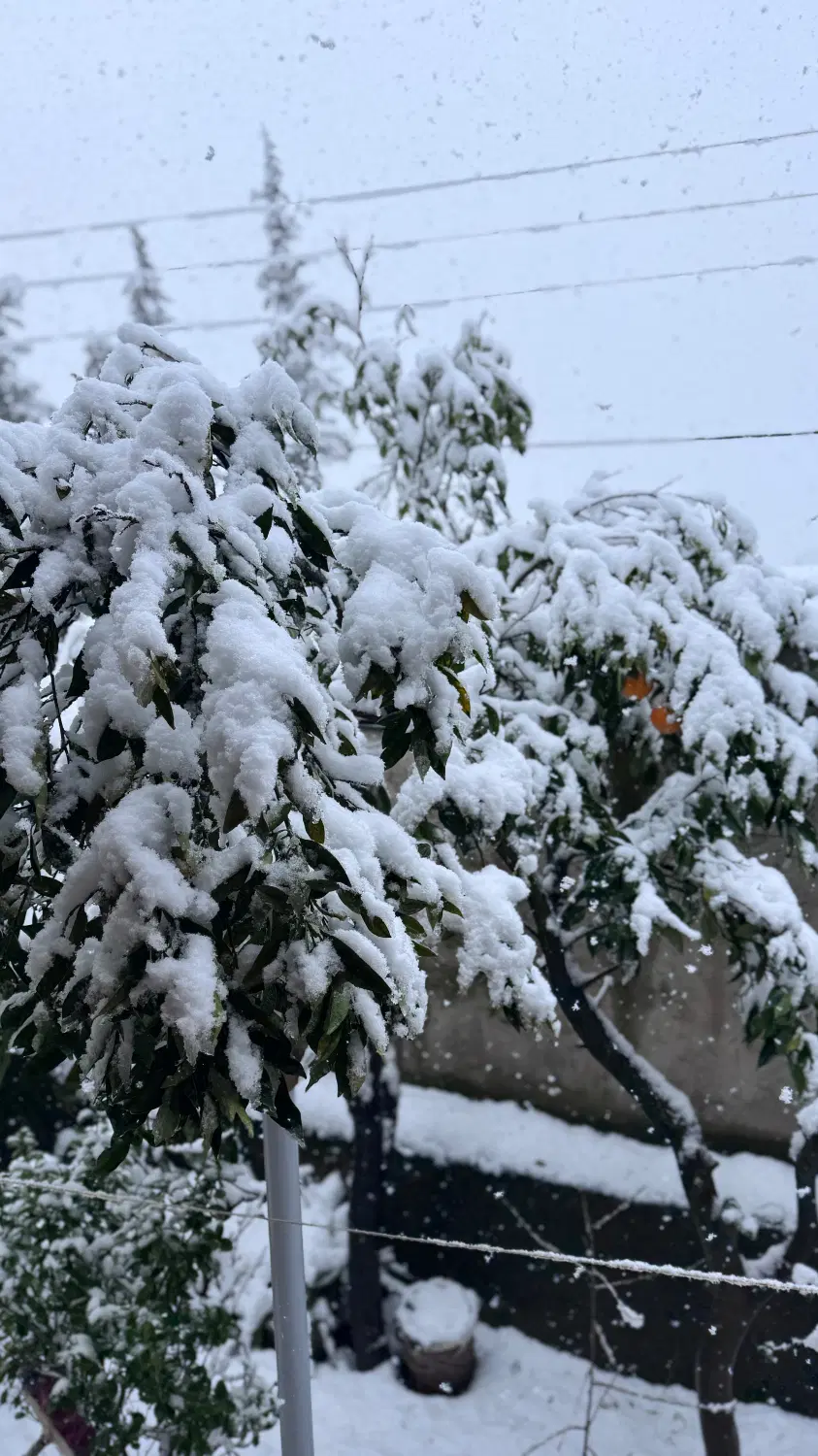 زمین برای ساخت و ساز