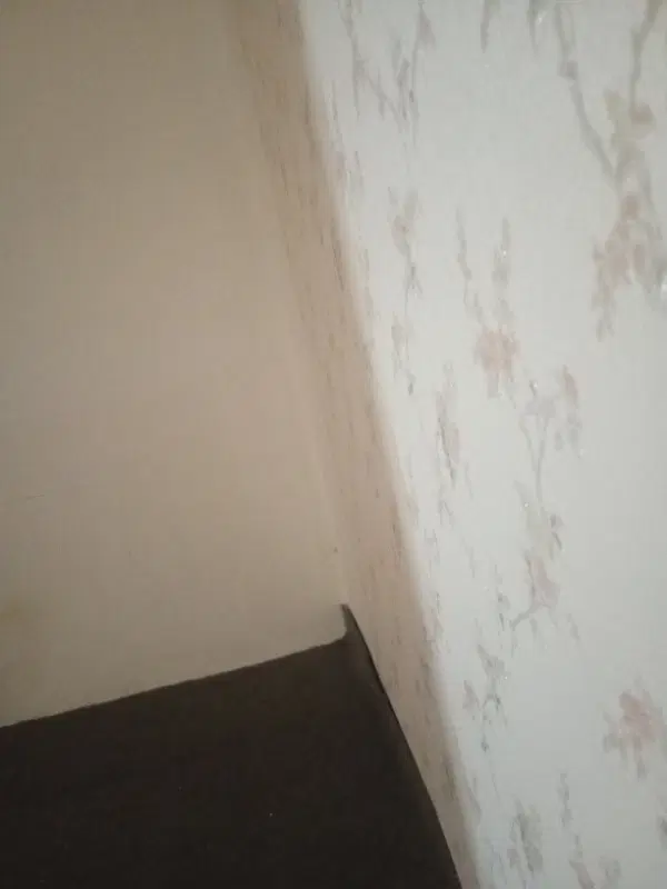 اجاره یک باب منزل با تمام امکانات جدا