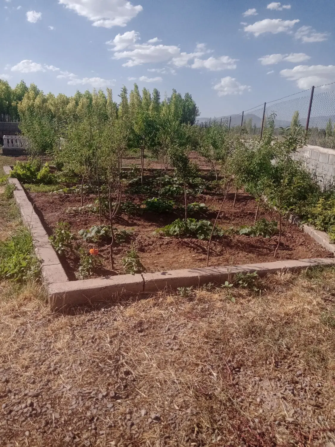 خانه باغ واقع در روستای گلزار