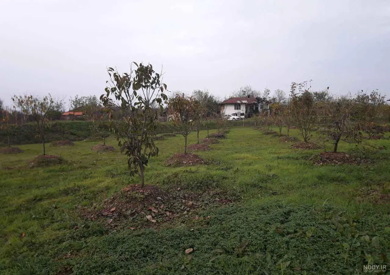باغ ویلایی