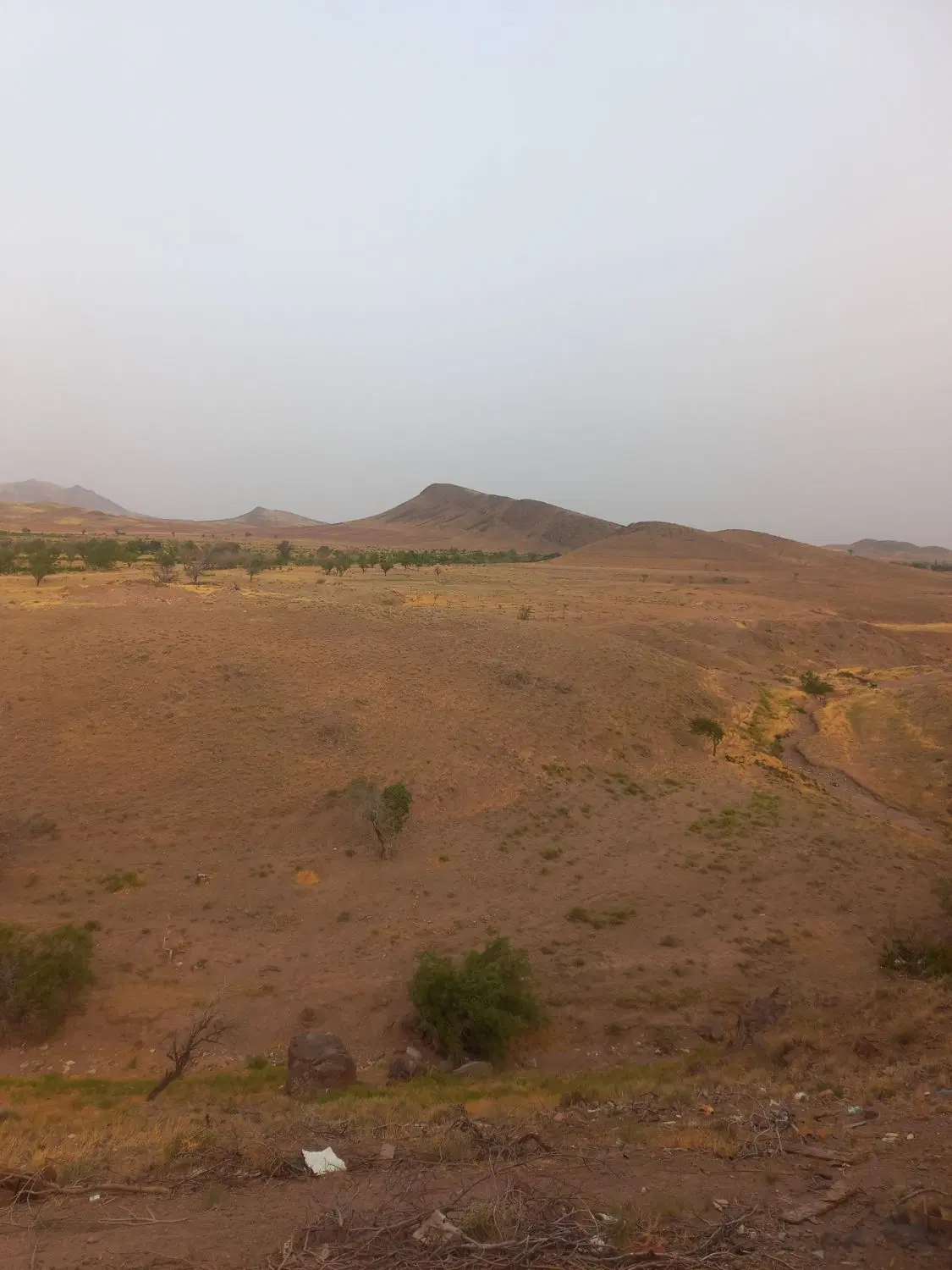 مهرگان فروش ۱_۵دانگ زمین مسکونی بنیاد شهید