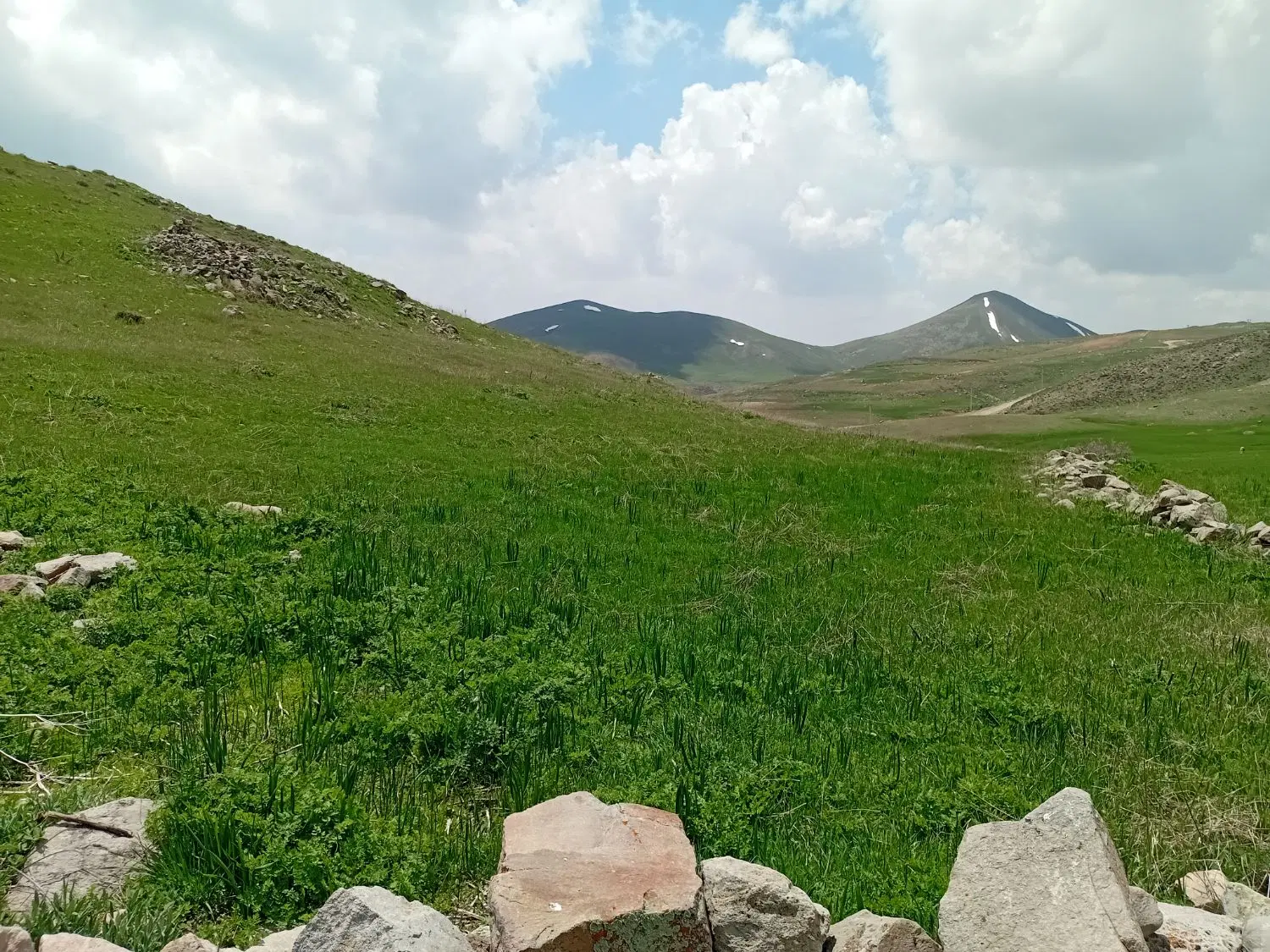 ۵۲۵۰ متر دیم کشاورزی