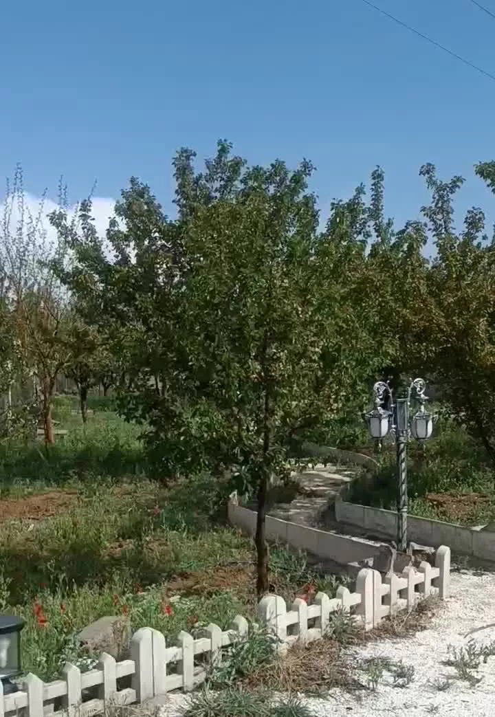 باغ ویلا فول امکانات بعد بیمارستان ولیان