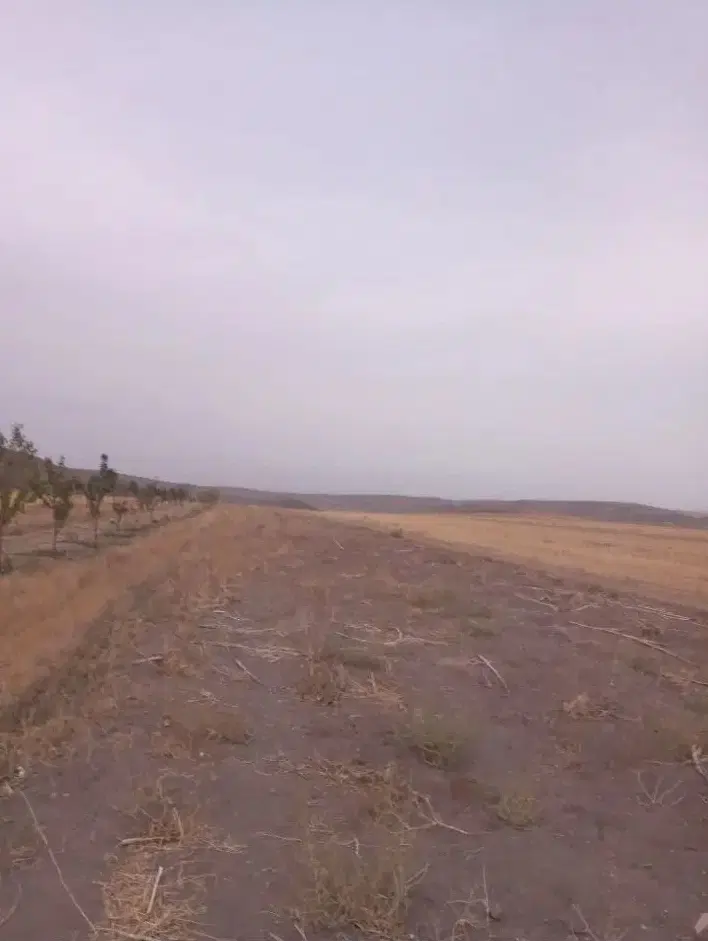 زمین مناسب برای باغ