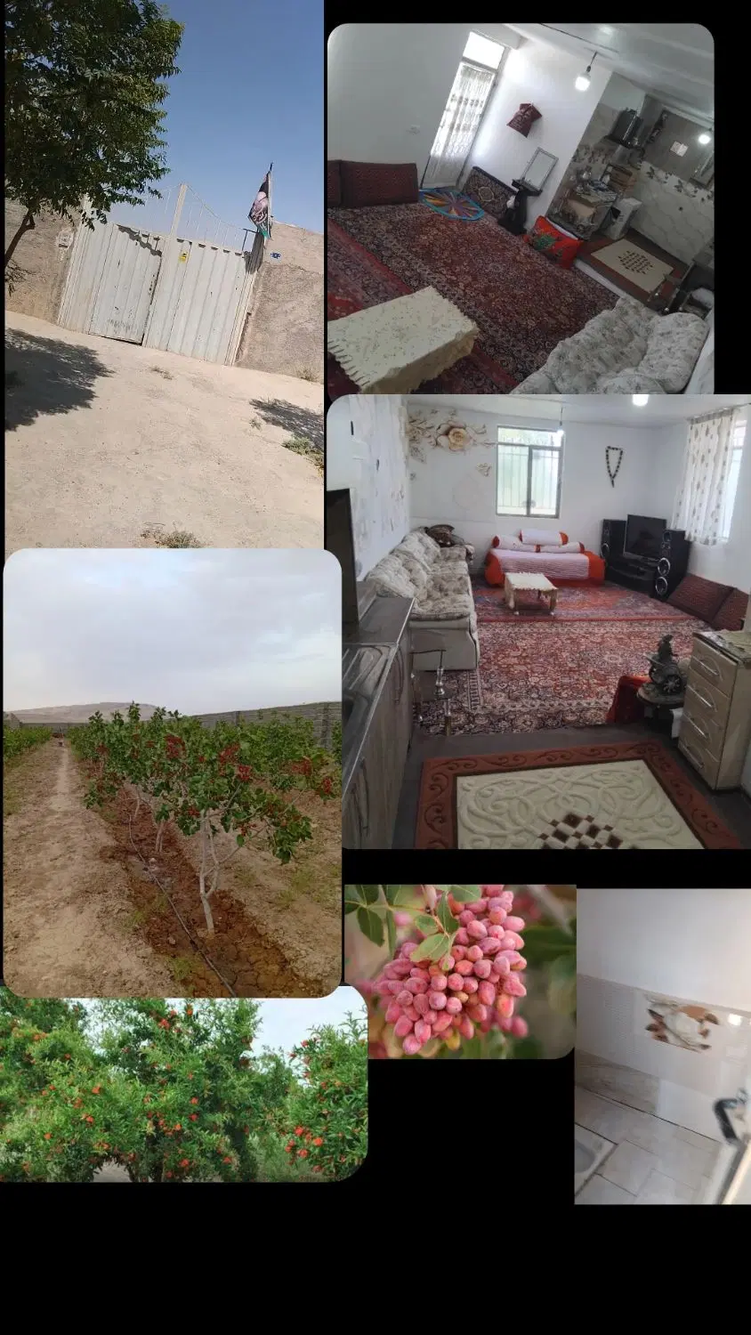 باغ پسته