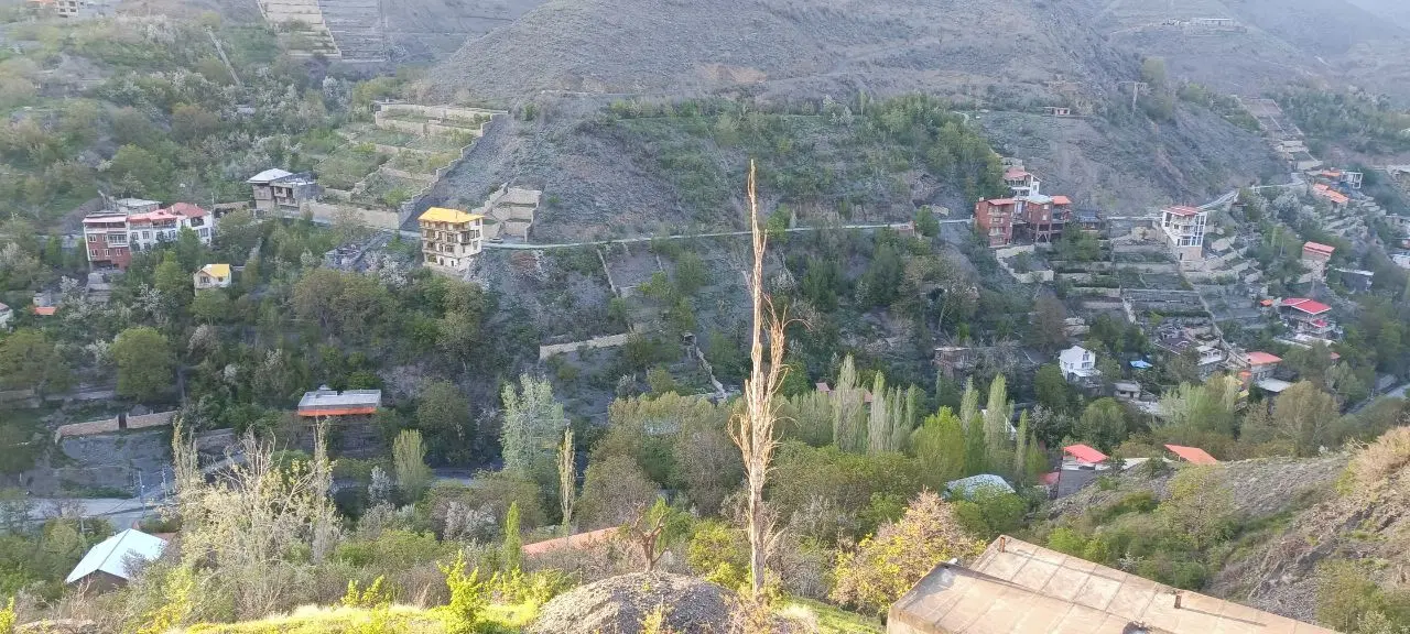 زشگ ۱۴