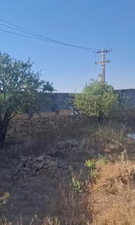 باغ یکانه