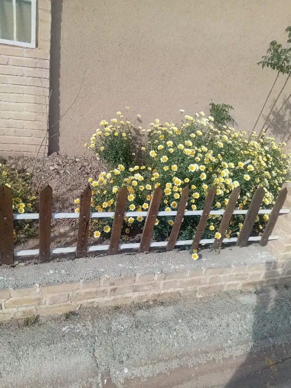 اجاره نیمه ویلایی دانشگاه