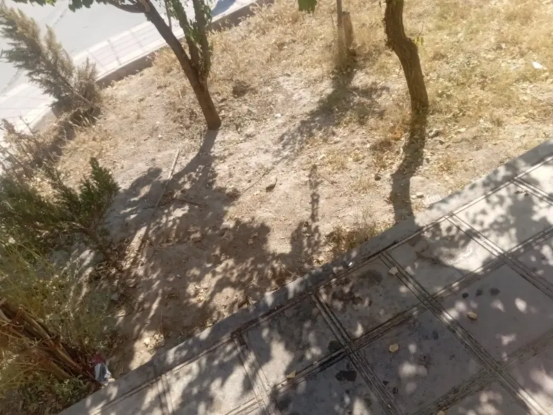 زمین کشاورزی وباغی