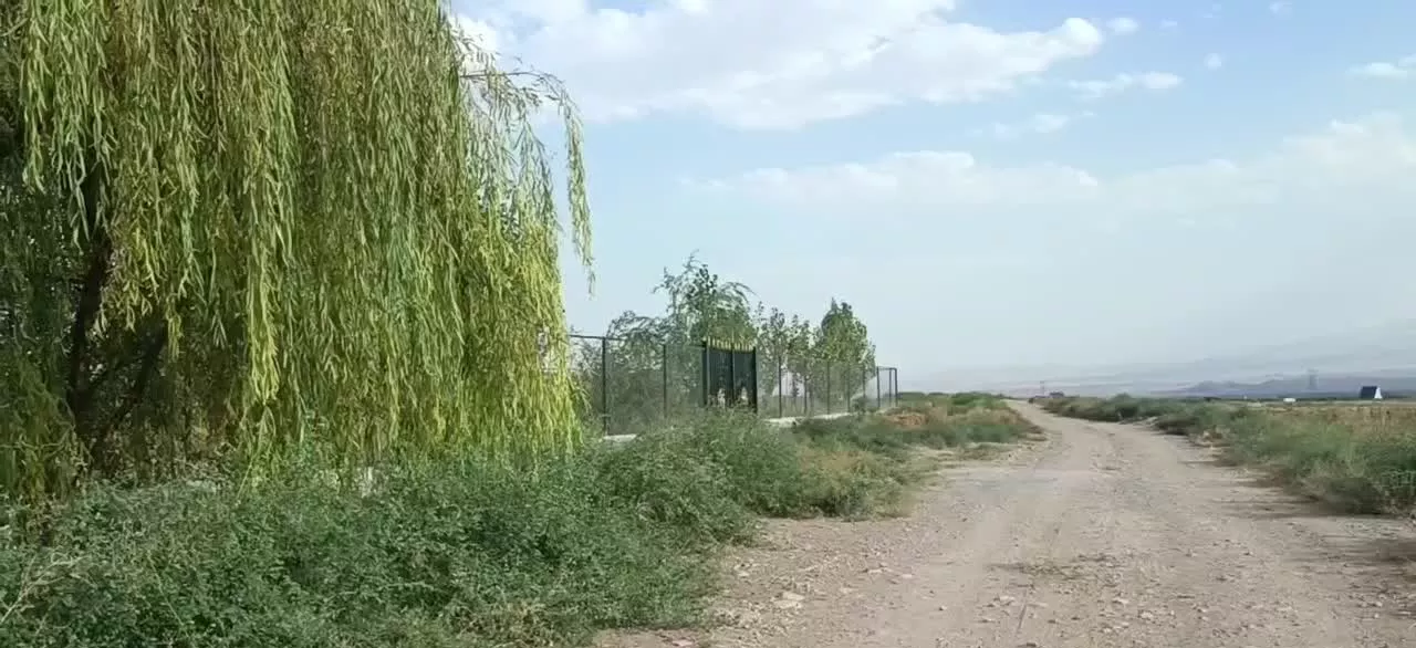 باغ