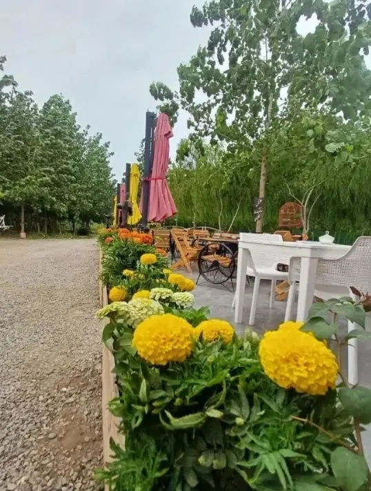 فرصت استثنایی،ویلای مدرن باموقعیت ویژه