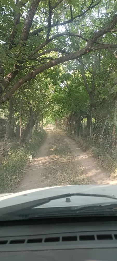 زمین علی بابا ساوه
