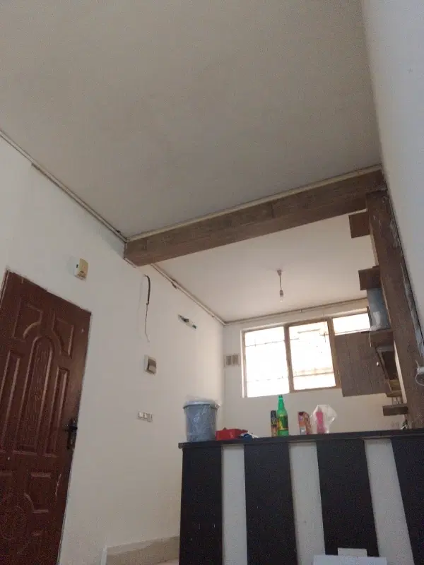 همخونه خانم