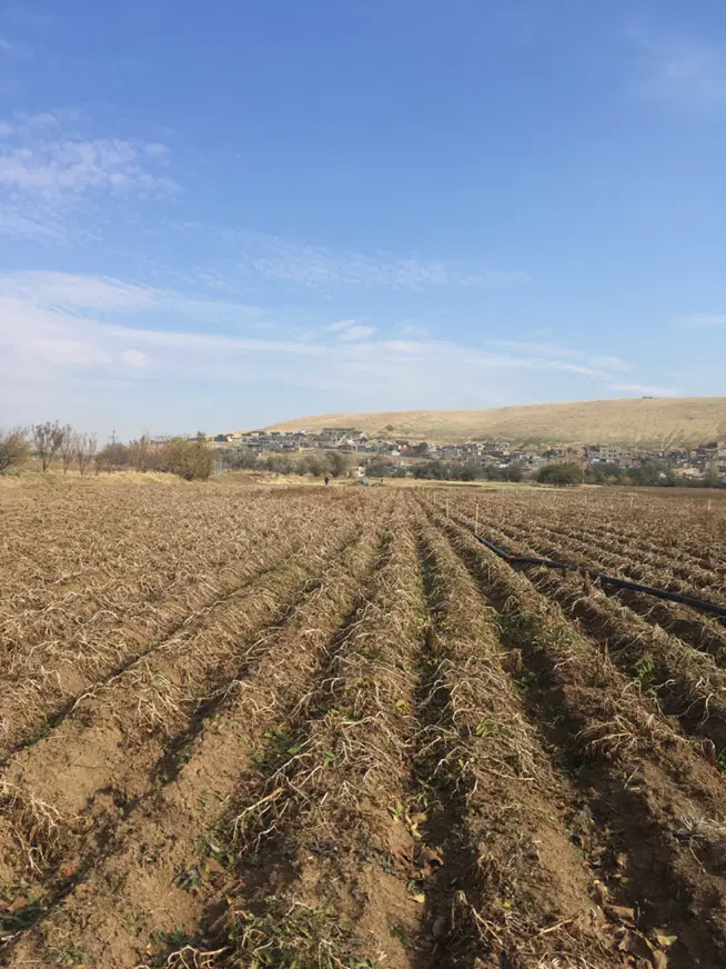 اجاره زمین کشاورزی