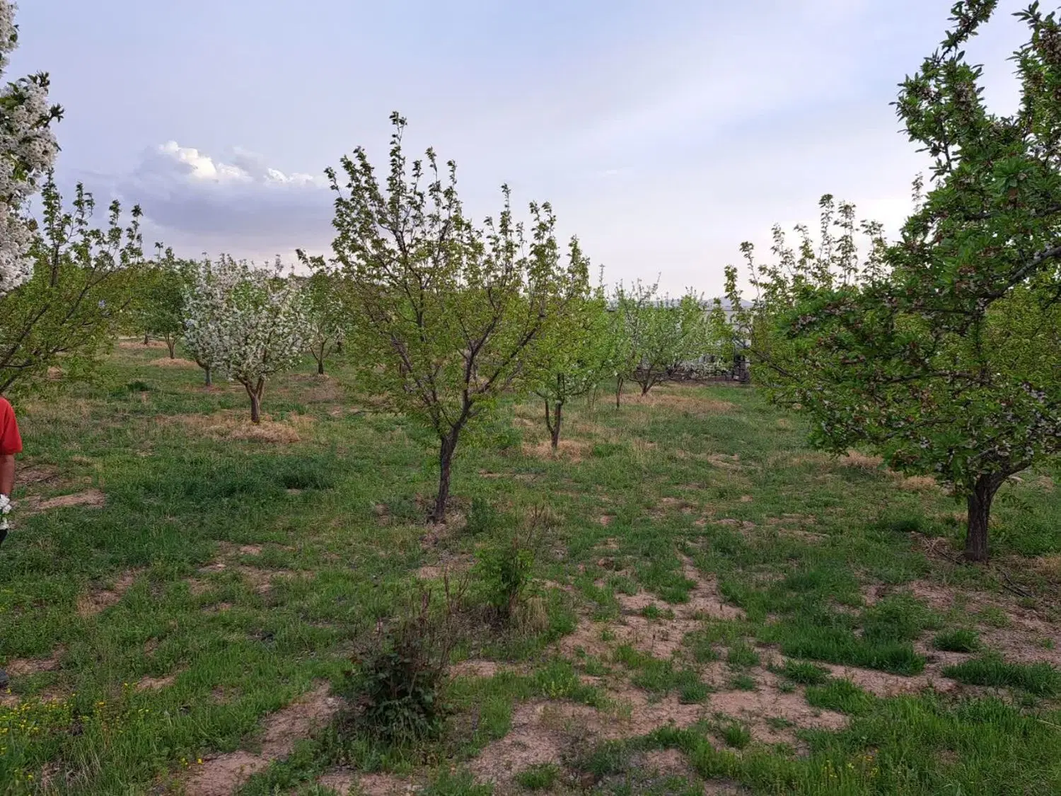 باغ شهر اشراق(پارس سوئیچ)