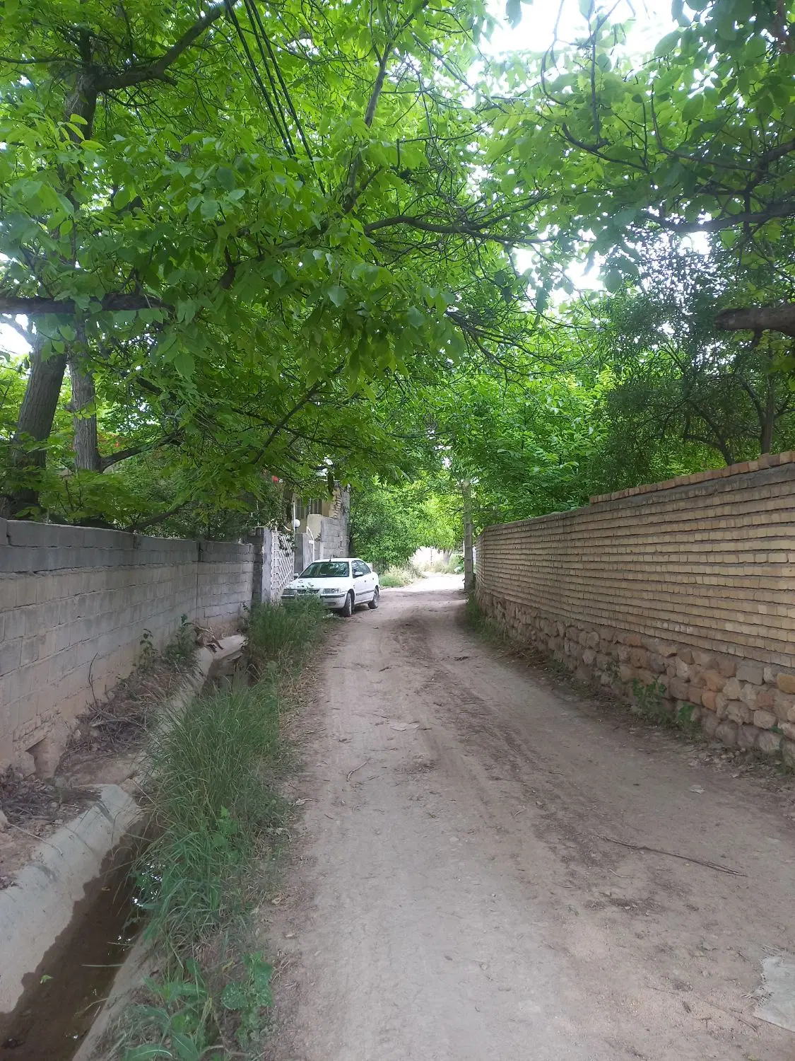 اجاره مغازه در همکف پاساژ یوسف از دوچنار