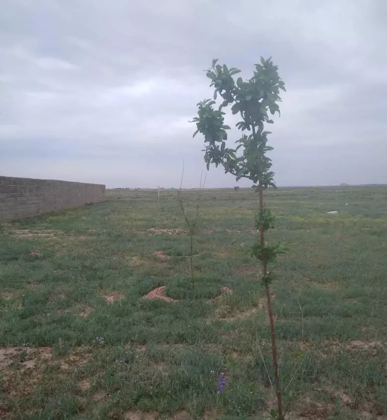 فروش زمین ۱۰۰۰ متری